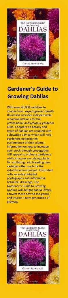170 Planting Dahlias Successfully ideas | planting dahlias, dahlia, plants