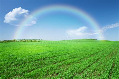 Green Grass Field Blue Sky With Rainbow Stock Image Image Of Meadow