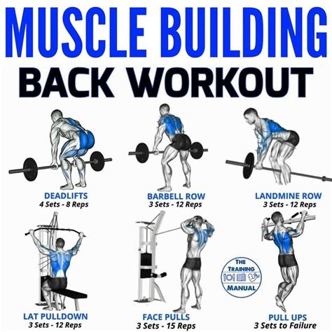 build a stronger thicker back and more with these 6 row variations back workout