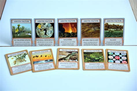 Cards, decks, boosters, tins, sealed boxes; *ECOLOGIES BIZARRE BIOMES* Food Chain Science Card Game