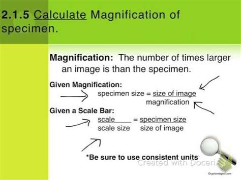 How To Calculate Magnification And Actual Size
