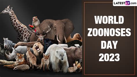 Festivals And Events News When Is World Zoonoses Day 2023 Heres The