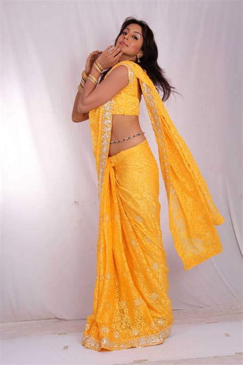Kannada And Telugu Movie Actress Sanjana In Saree Photoshoot