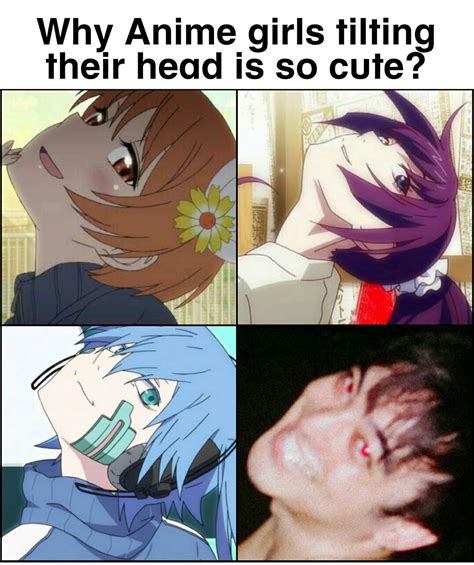 🤣🤣🤣🤣 Anime Funny Anime Meme Face Anime