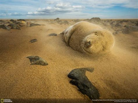 Top 20 Pics From 2016 National Geographic Nature Photographer Of The