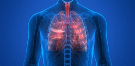 Cystic Fibrosis Causes Symptoms And Associated Risk Factors