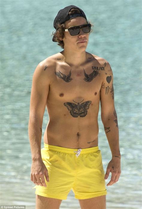 Harry Styles Body Naked Male Celebrities