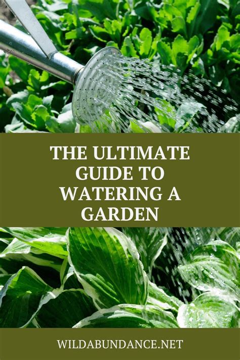 The Ultimate Guide To Watering A Garden Wild Abundance