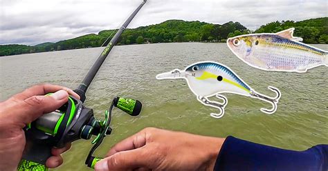44:23 clear & murky water, what is gerald swindle looking for when cold water cranking for bass? How To Catch A Shadload More Bass During The Spring