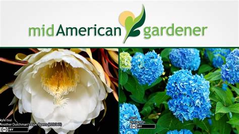 Mid American Gardener Pbs