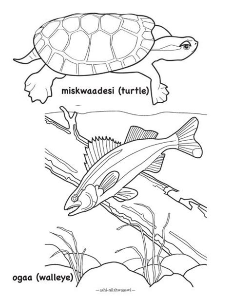 40 Best Ideas For Coloring Ojibwe Coloring Pages
