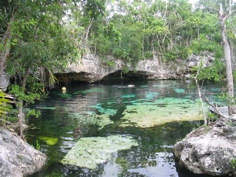 Cenote Azul Yucatan Peninsula Riviera Maya Cenotes