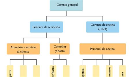 Organigrama De Una Empresa Comercial Puestos Y Funciones Images