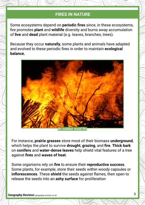 A Level Fire Hazards Geography Revision Notes
