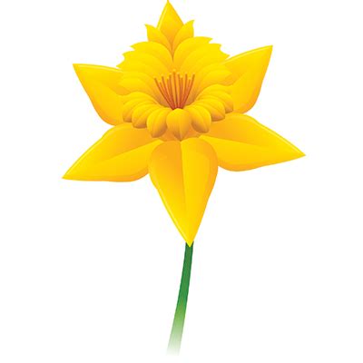 Find over 100+ of the best free single flower images. PNG Single Flower Transparent Single Flower.PNG Images ...