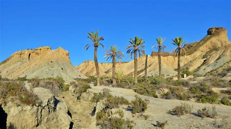 The Desert of Tabernas A perfect day trip in Almería