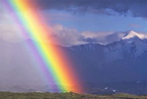 Why Is Rainbow Seen After Rain ~ Tricksline