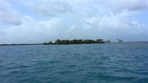Amelia Island In Lark Caye Belize Youtube