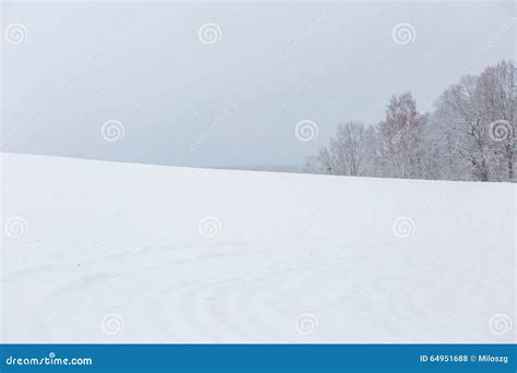 Winter Field Under Cloudy Gray Sky Stock Photo Image Of Country