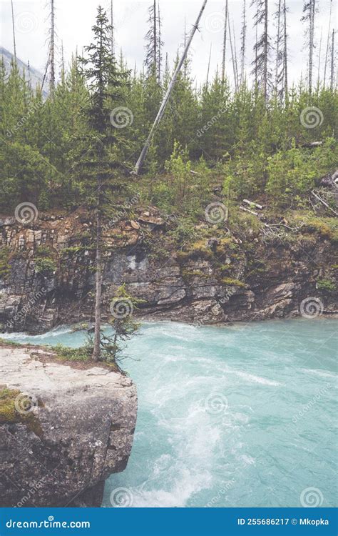 Marble Canyon In Kootenay National Park British Columbia Stock Image