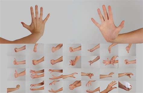 Hand Poses Stock Pack By Danika Stock On Deviantart Human Reference