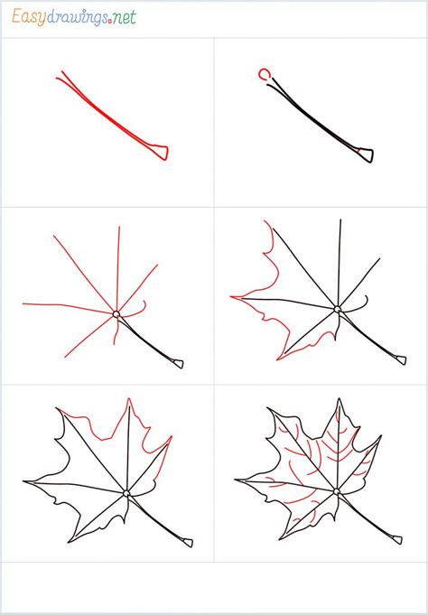How To Draw A Maple Leaf With Pencils Step By Step Instructions For Beginners