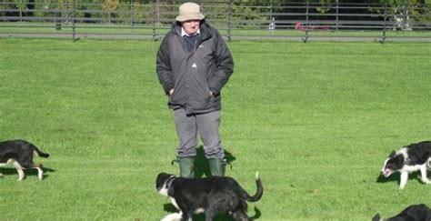 The Irish National Sheepdog Trials Start This Week But What Does It