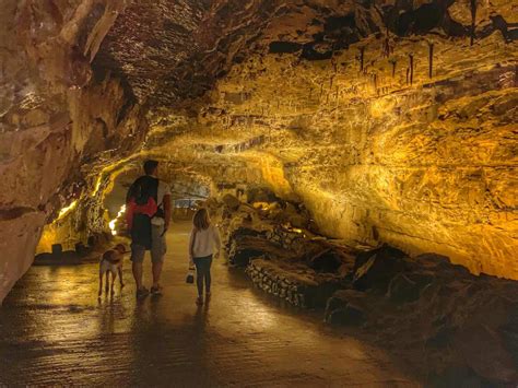 Visiting The Dan Yr Ogof Caves In Wales Everything You Need To Know