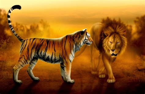 Feel free to download, share, comment and discuss every wallpaper you like. Lion And Tiger Wallpaper | Cool HD Wallpapers
