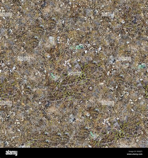 Seamless Texture Of Rocky Steppe Soil Stock Photo Alamy