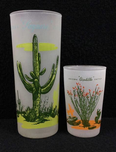 Lot 16 Blakely Frosted Arizona Cactus Glasses