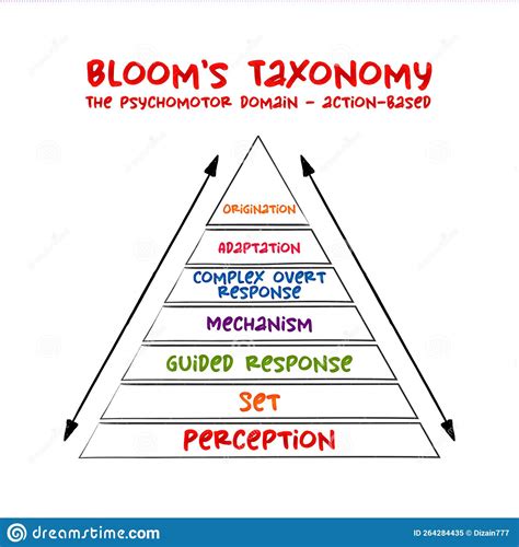 Hand Drawn Bloom`s Taxonomy The Psychomotor Domain Action Based