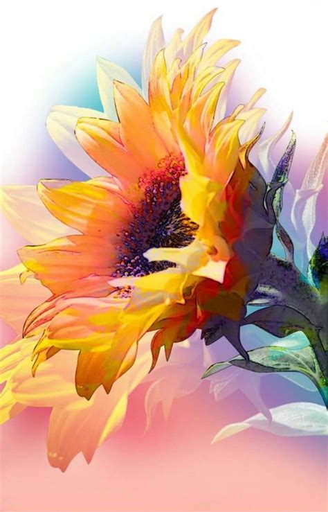 Watercolor Sunflower Flores Pintadas Arte Flor Aquarela Floral