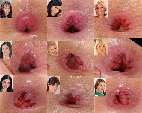 A Collage Pf Porn Star Assholes Can Anyone Name Them Porno Foto Eporner