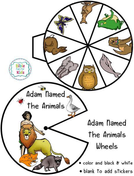 Adam Names The Animals Bible Fun For Kids