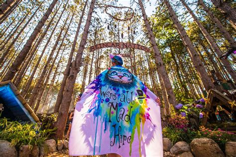 Electric Forest Weekend 1 Review God Bless The Forest Hedonist
