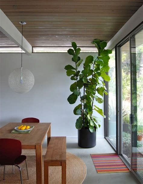 Review Of Indoor Plants House Design 2023