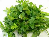 Flat Leaf Parsley Pictures