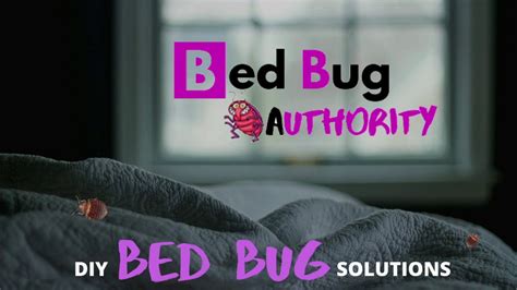 Bed Bugs Up Close And Personal Live Bed Bugs Bed Bug Authority