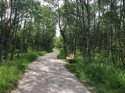 Best 10 Hiking Trails In Assiniboine Forest Alltrails