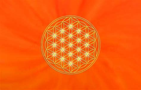 Coral is a color that can be placed in the pink or orange family. Kraft der Farben - Orange | atalantes spirit