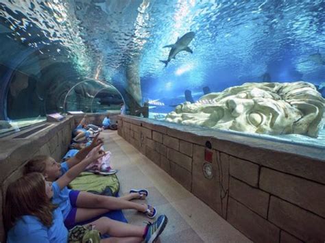 Sea Life Orlando Coupons Save 250 Per Person With Travelin Coupons