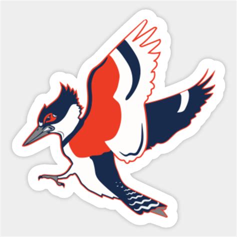 University Of Illinois Kingfisher Mascot Logo University Of Illinois