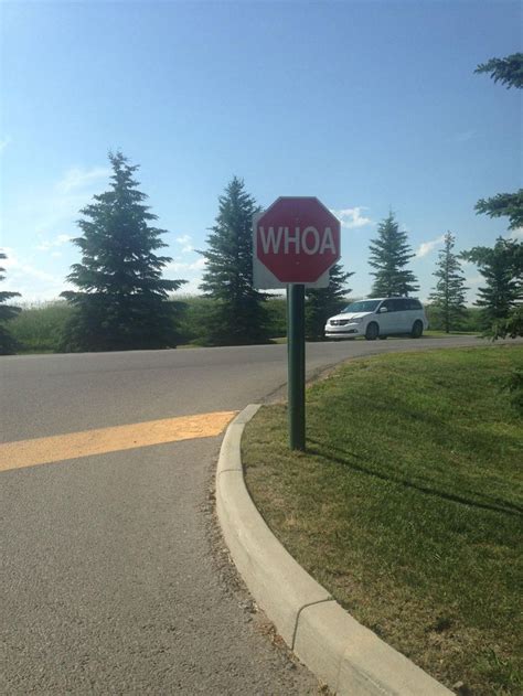 This Stop Sign At A Local Horse Ranch Says Whoa Horse Ranch Stop