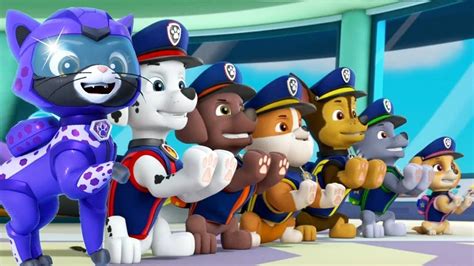 Cat Tastic New Paw Patrol Spin Off On Paramount