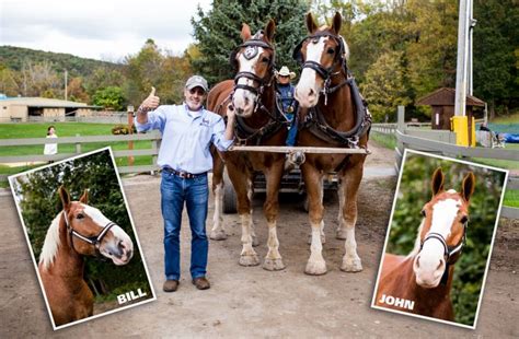Faber piano adventures level 2b horse drawn carriage pg34 35. Horse Adventures - Rocking Horse Ranch Resort