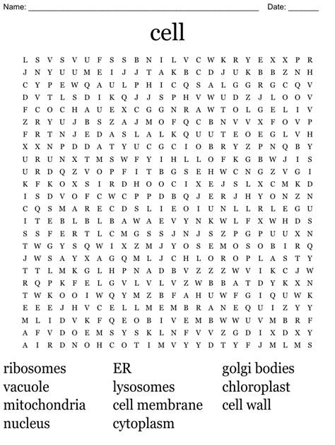 Cell Word Search Wordmint