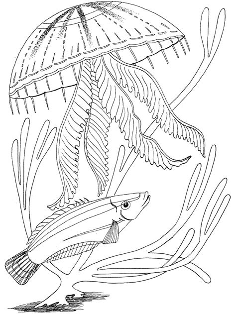 Ocean Coloring Pages - GetColoringPages.com .life coloring pages for adults free printable ocean pictures under the sea printables sea adventure coloring page sea coloring pages to print ocean coloring sheets for preschoolers ocean habitat coloring pages ocean animals.