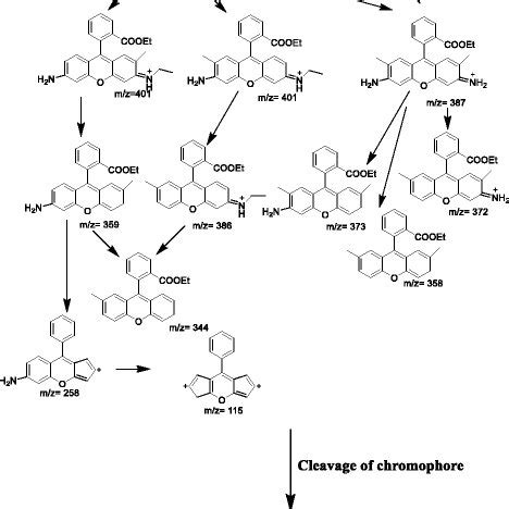 Reaction Mechanism And Degradation Pathway Of Rhodamine 6G By
