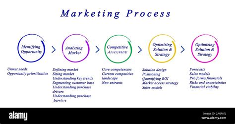 Diagram Of Marketing Process Stock Photo Alamy